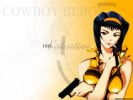 cowboy 2 1024   470  (cowboy 2 1024   ( Anime Wallpapers Cowboy Bebop  ) 470 )